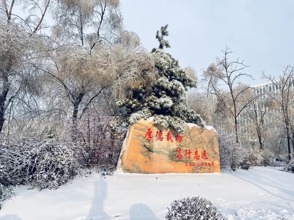 图片5.jpg 图片5.jpg