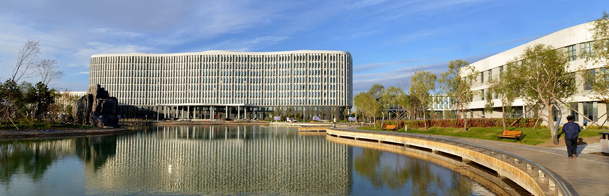 02.jpg